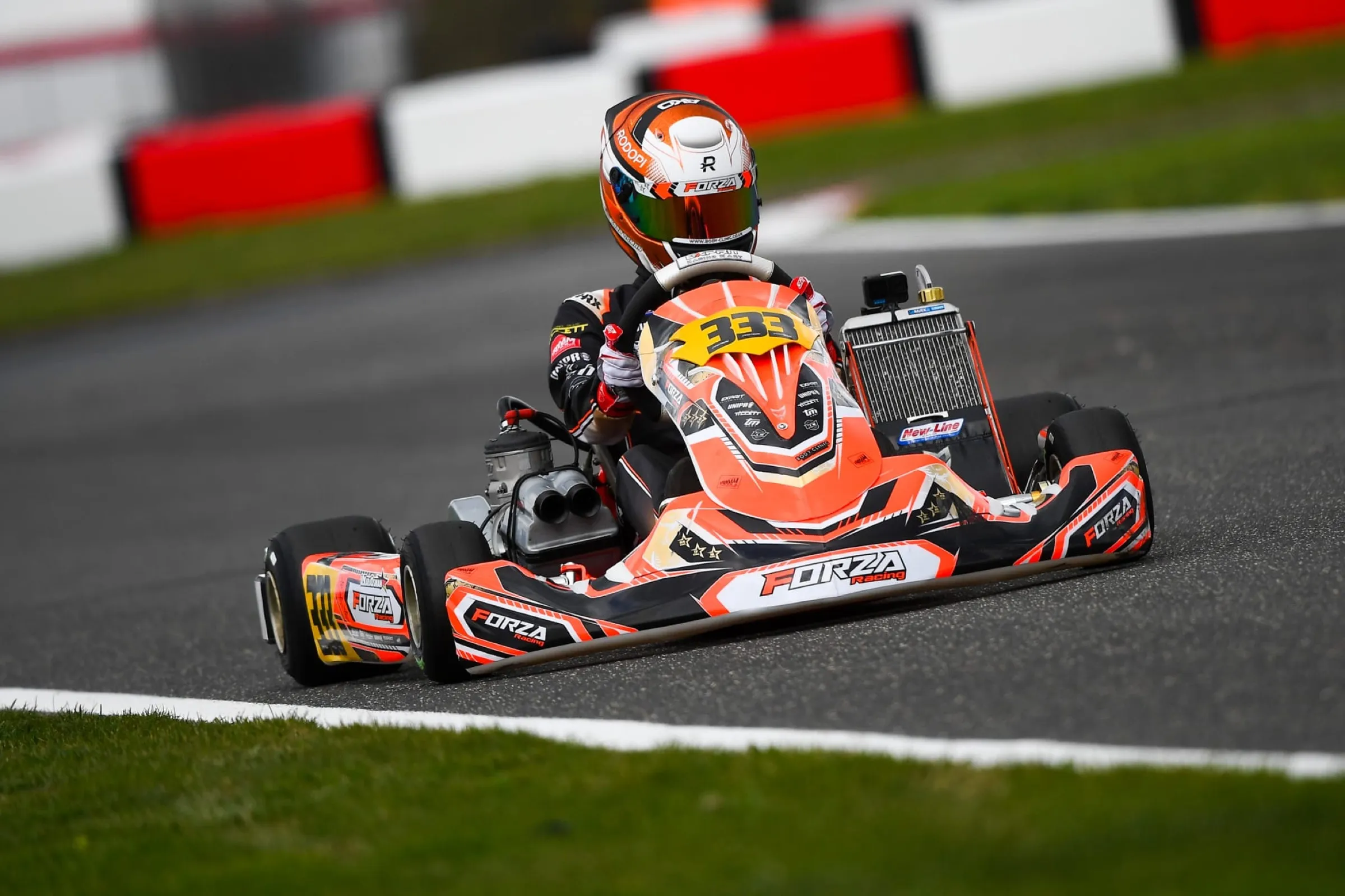 Kart on the green kerbs of a circuit